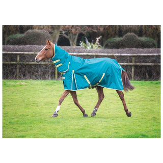 Bridleway Ontario 100g Combo Turnout Rug Green