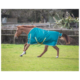 Bridleway Ontario 100g Turnout Rug Green