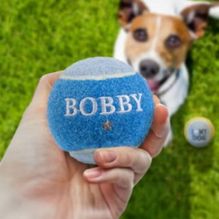 History & Heraldry Personalised Dog Ball