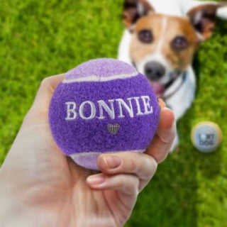 History & Heraldry Personalised Dog Ball