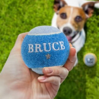 History & Heraldry Personalised Dog Ball