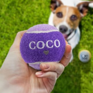 History & Heraldry Personalised Dog Ball