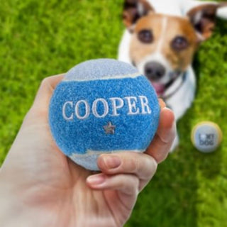 History & Heraldry Personalised Dog Ball