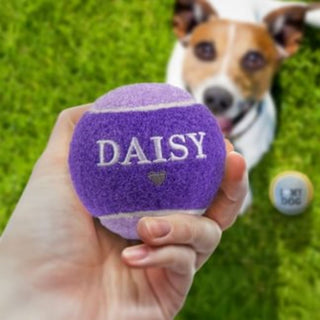 History & Heraldry Personalised Dog Ball
