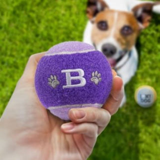 History & Heraldry Personalised Dog Ball