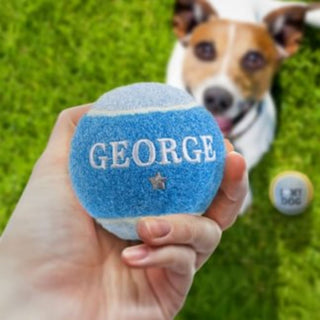 History & Heraldry Personalised Dog Ball