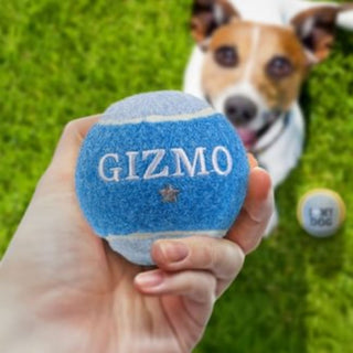 History & Heraldry Personalised Dog Ball
