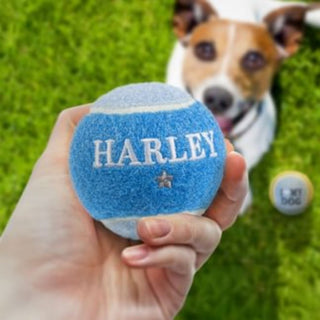 History & Heraldry Personalised Dog Ball