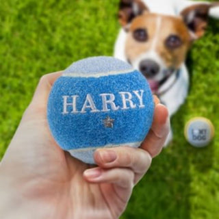 History & Heraldry Personalised Dog Ball