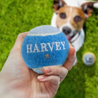 History & Heraldry Personalised Dog Ball