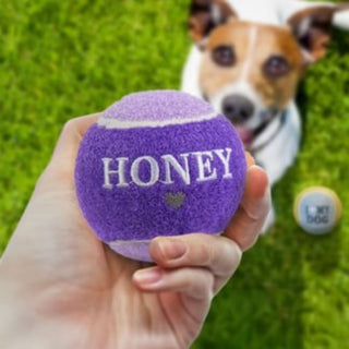 History & Heraldry Personalised Dog Ball