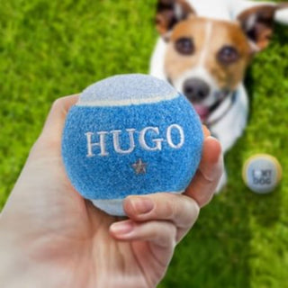 History & Heraldry Personalised Dog Ball
