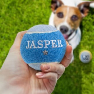 History & Heraldry Personalised Dog Ball
