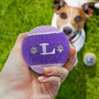 History & Heraldry Personalised Dog Ball