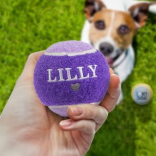 History & Heraldry Personalised Dog Ball