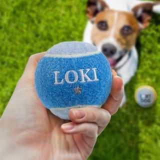History & Heraldry Personalised Dog Ball