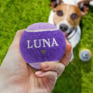 History & Heraldry Personalised Dog Ball