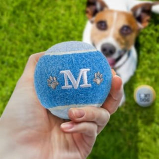 History & Heraldry Personalised Dog Ball