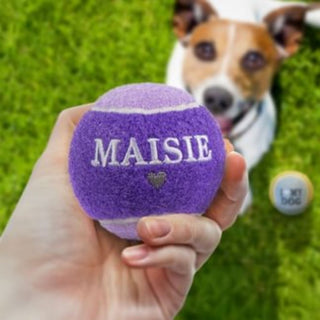 History & Heraldry Personalised Dog Ball