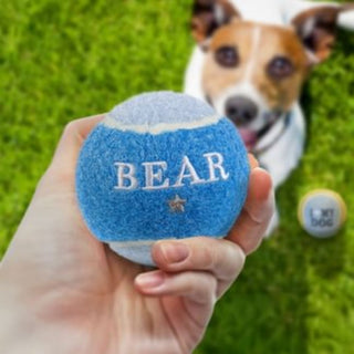 History & Heraldry Personalised Dog Ball