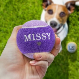 History & Heraldry Personalised Dog Ball