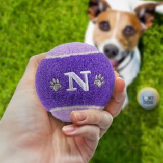 History & Heraldry Personalised Dog Ball