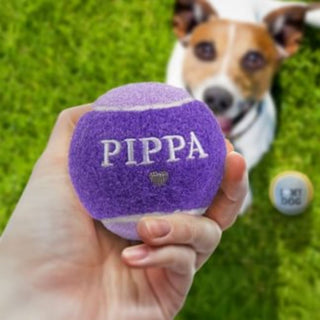 History & Heraldry Personalised Dog Ball