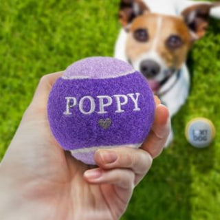 History & Heraldry Personalised Dog Ball