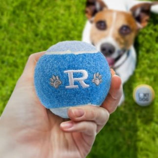 History & Heraldry Personalised Dog Ball