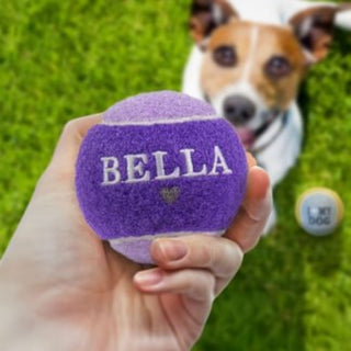 History & Heraldry Personalised Dog Ball