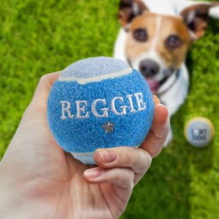 History & Heraldry Personalised Dog Ball