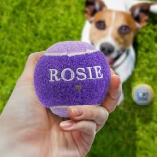 History & Heraldry Personalised Dog Ball