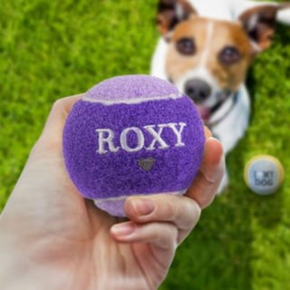 History & Heraldry Personalised Dog Ball