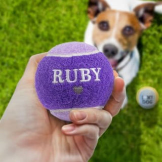 History & Heraldry Personalised Dog Ball