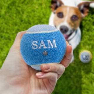 History & Heraldry Personalised Dog Ball