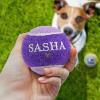 History & Heraldry Personalised Dog Ball