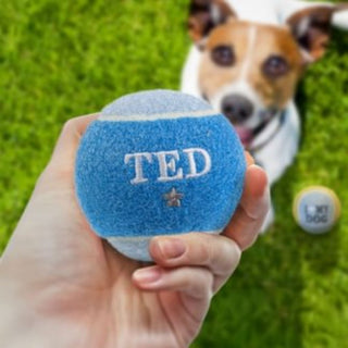 History & Heraldry Personalised Dog Ball