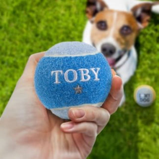 History & Heraldry Personalised Dog Ball