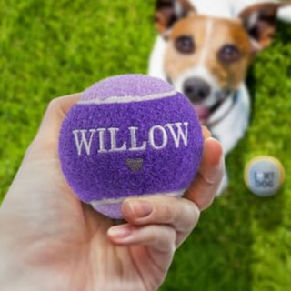 History & Heraldry Personalised Dog Ball
