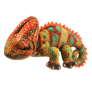 Pup Little Creatures Chameleon Orange