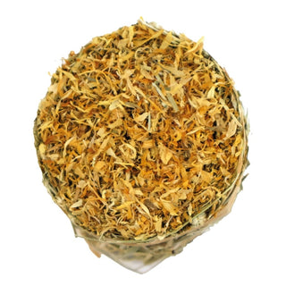 Burgess Excel Feeding Hay With Dandelion & Marigold