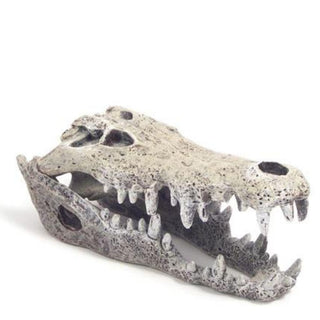 Rosewood Nile Crocodile Small