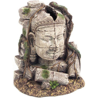 Rosewood Ancient Stone Head Ruin