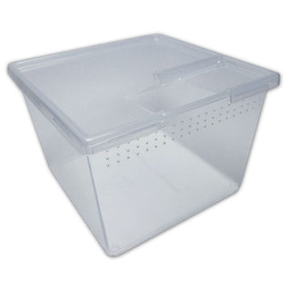 Pl Square Container With Flip Lid 24oz