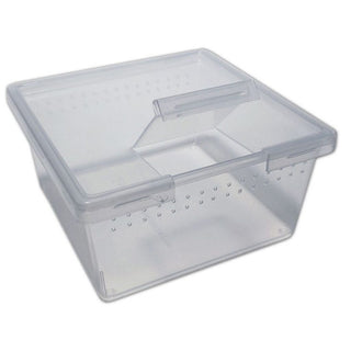 Pl Square Container With Flip Lid 7oz