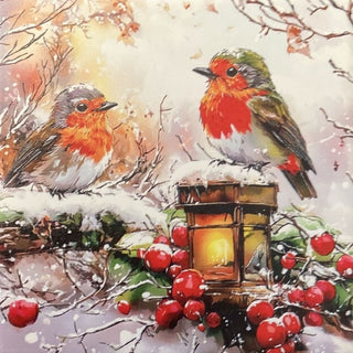 Robin On Lantern Coaster