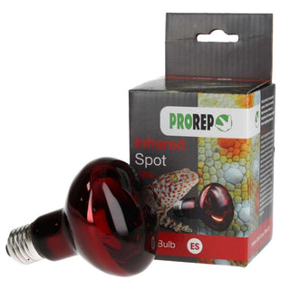 Pro Rep Red Spot Bulb Screw Fitting 100w