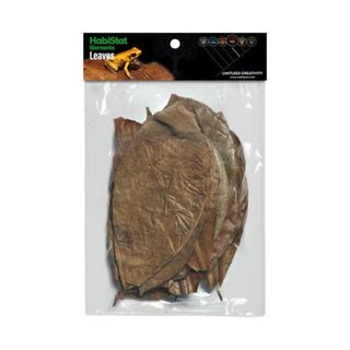 Habistat Mixed Leaves