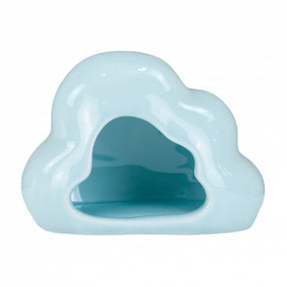 Small Animal Cloud Hide