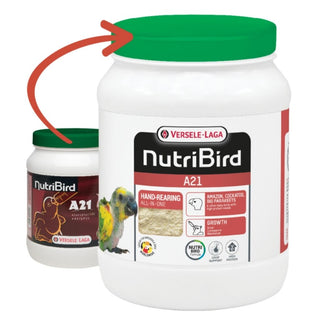 NutriBird A21